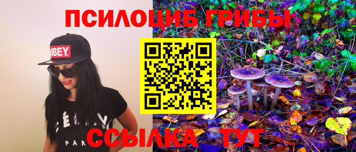 Галлюциногенные грибы Psilocybine cubensis  Вход с VPN  Рязань  Галлюциногенные грибы Magic Shrooms 