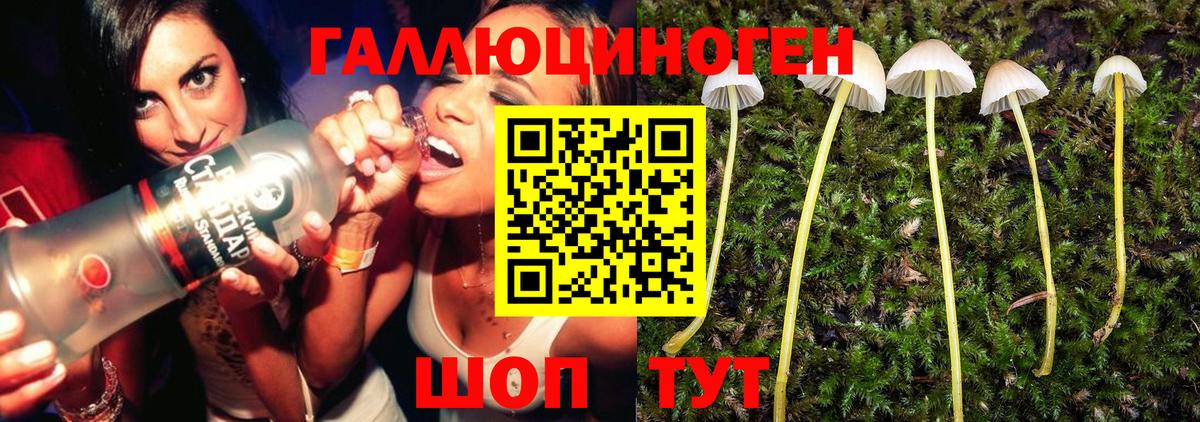 Псилоцибиновые грибы прущие грибы Рязань